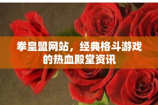 经典格斗游戏的热血殿堂资讯图片