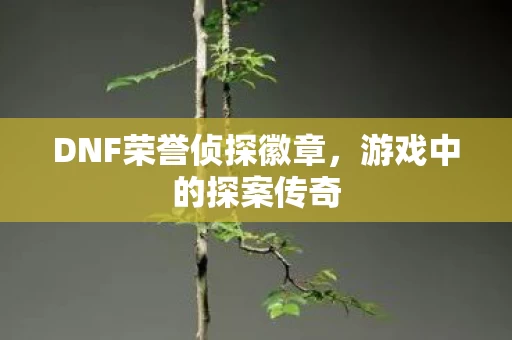DNF荣誉侦探徽章图片