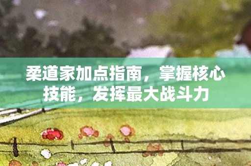 柔道家加点指南图片