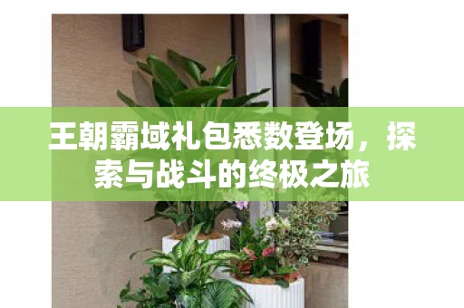 王朝霸域礼包悉数登场图片