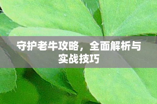 全面解析与实战技巧图片