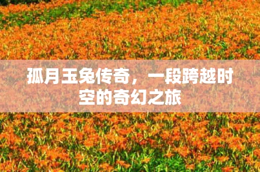 一段跨越时空的奇幻之旅图片