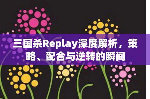 三国杀Replay深度解析，策略、配合与逆转的瞬间