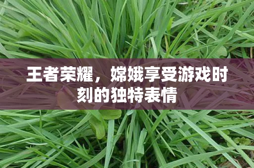 嫦娥享受游戏时刻的独特表情图片