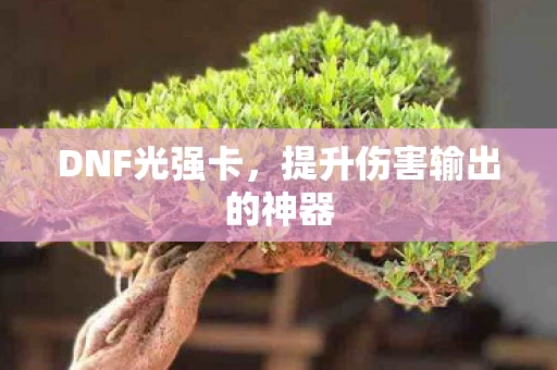 提升伤害输出的神器图片