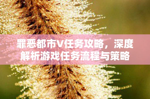 罪恶都市V任务攻略，深度解析游戏任务流程与策略