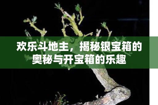 揭秘银宝箱的奥秘与开宝箱的乐趣图片