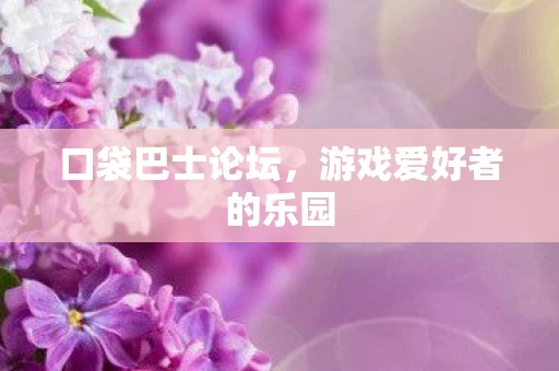 游戏爱好者的乐园图片