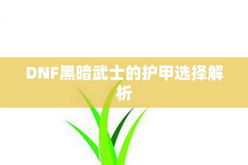 DNF黑暗武士的护甲选择解析图片
