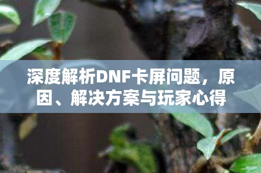 深度解析DNF卡屏问题图片