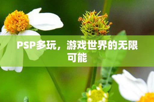 游戏世界的无限可能图片