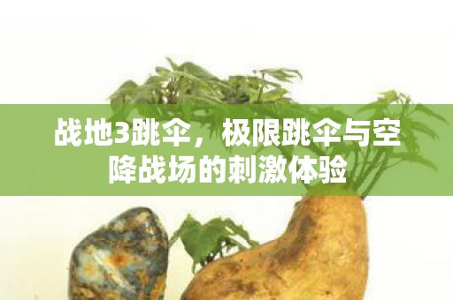 极限跳伞与空降战场的刺激体验图片