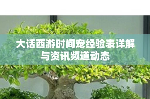 大话西游时间宠经验表详解与资讯频道动态图片