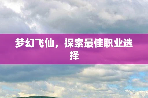 梦幻飞仙，探索最佳职业选择