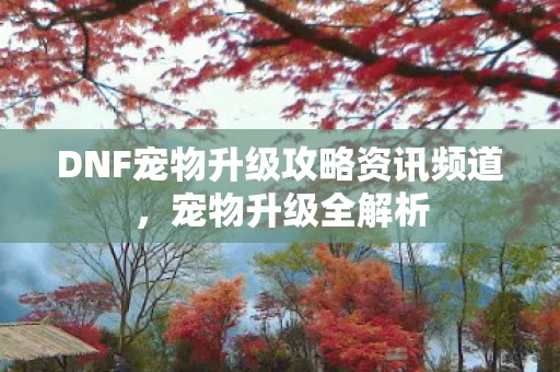 DNF宠物升级攻略资讯频道，宠物升级全解析