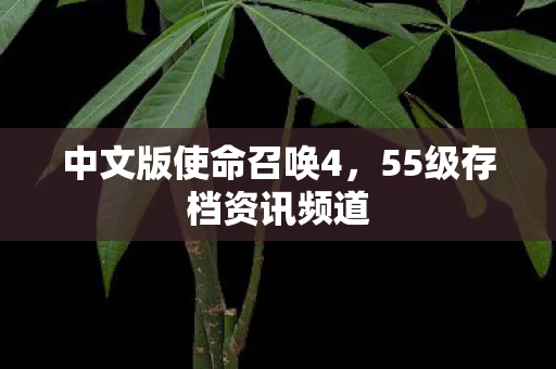 55级存档资讯频道图片