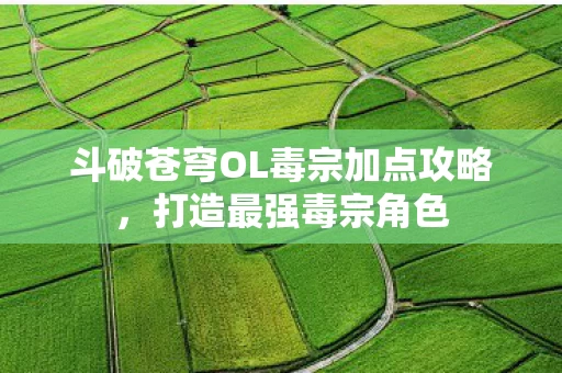 斗破苍穹OL毒宗加点攻略图片