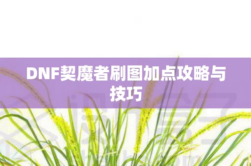 DNF契魔者刷图加点攻略与技巧图片
