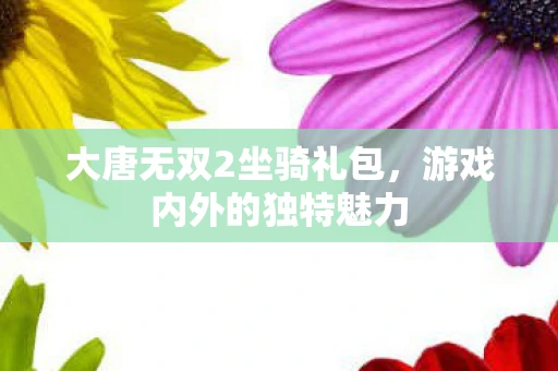 大唐无双2坐骑礼包，游戏内外的独特魅力