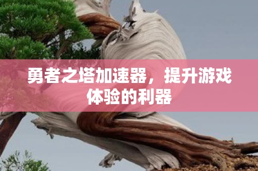 提升游戏体验的利器图片