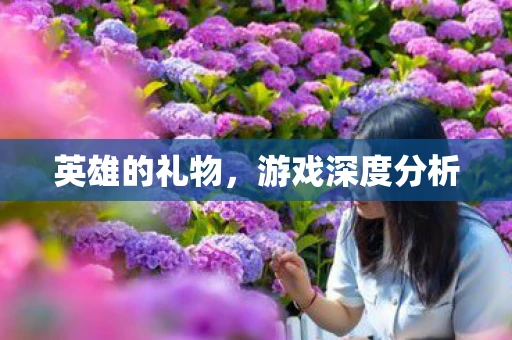 英雄的礼物，游戏深度分析