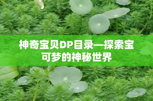 探索宝可梦的神秘世界图片