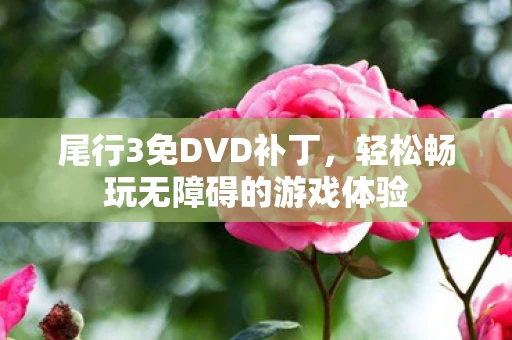 尾行3免DVD补丁，轻松畅玩无障碍的游戏体验
