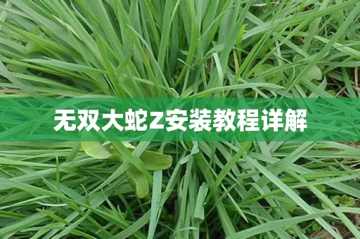 无双大蛇Z安装教程详解图片