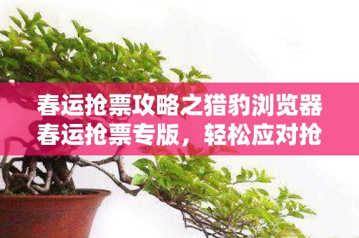 春运抢票攻略之猎豹浏览器春运抢票专版图片