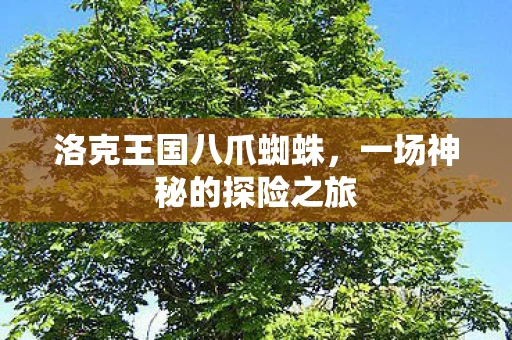 一场神秘的探险之旅图片