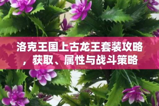 洛克王国上古龙王套装攻略图片