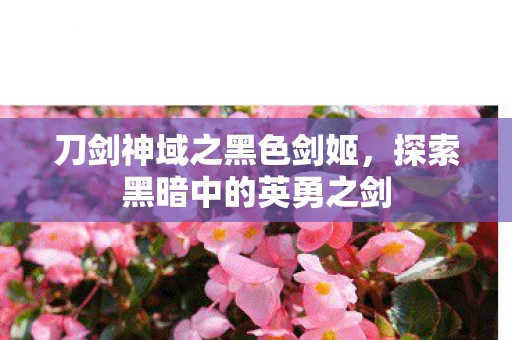 刀剑神域之黑色剑姬，探索黑暗中的英勇之剑