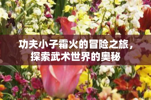 功夫小子霜火的冒险之旅图片