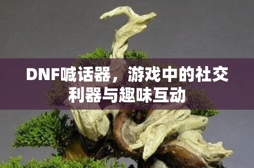 DNF喊话器，游戏中的社交利器与趣味互动