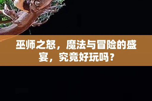 巫师之怒，魔法与冒险的盛宴，究竟好玩吗？