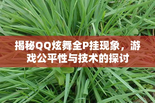 揭秘QQ炫舞全P挂现象，游戏公平性与技术的探讨