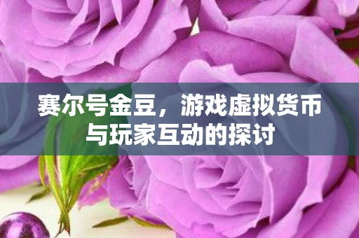 赛尔号金豆，游戏虚拟货币与玩家互动的探讨