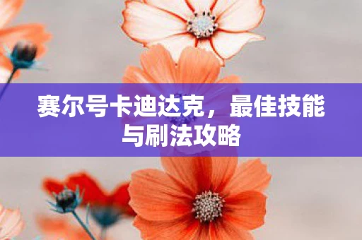 最佳技能与刷法攻略图片