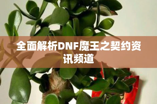 全面解析DNF魔王之契约资讯频道