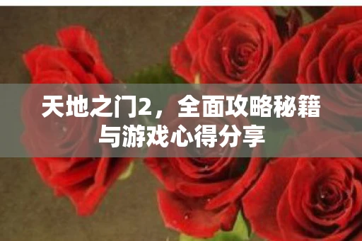 天地之门2，全面攻略秘籍与游戏心得分享