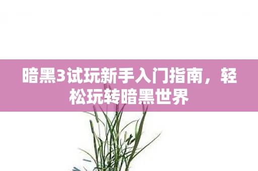 暗黑3试玩新手入门指南，轻松玩转暗黑世界