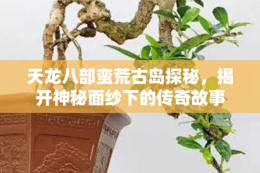 揭开神秘面纱下的传奇故事图片