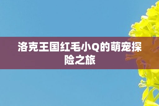 洛克王国红毛小Q的萌宠探险之旅