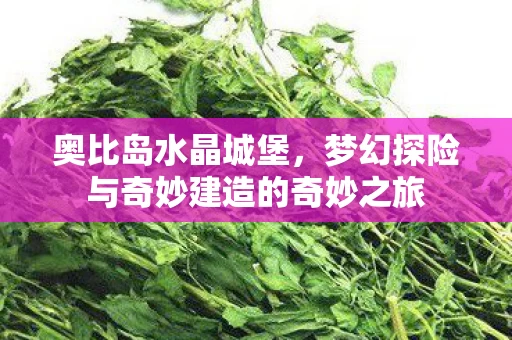 梦幻探险与奇妙建造的奇妙之旅图片