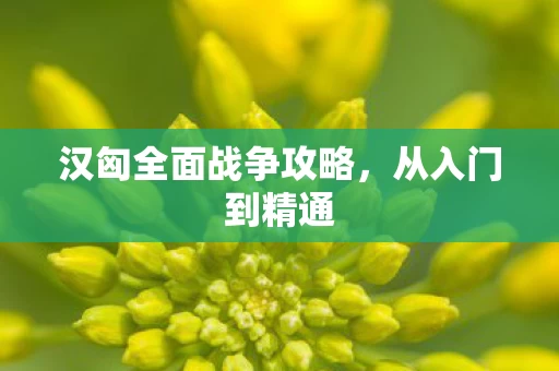 汉匈全面战争攻略图片