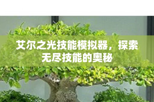 艾尔之光技能模拟器图片