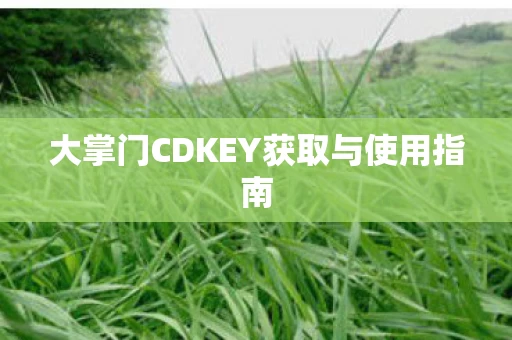大掌门CDKEY获取与使用指南图片