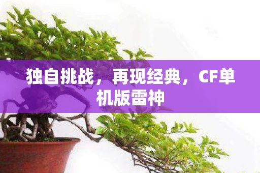 CF单机版雷神图片