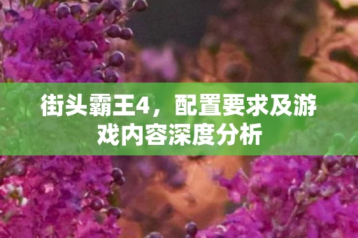 配置要求及游戏内容深度分析图片
