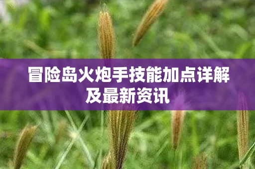 冒险岛火炮手技能加点详解及最新资讯图片